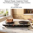 PLITA ELECTRICA DUBLA 2000W Plăci Fontă 155mm INOX 2Q ERT199IN