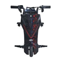 Elektromos tricikli Drift HAUSBERG KIDS HB-KD05NG, 8 hüvelykes, sebesség 15 km/h, autonómia 10-15 km, motor 250 W, Fekete